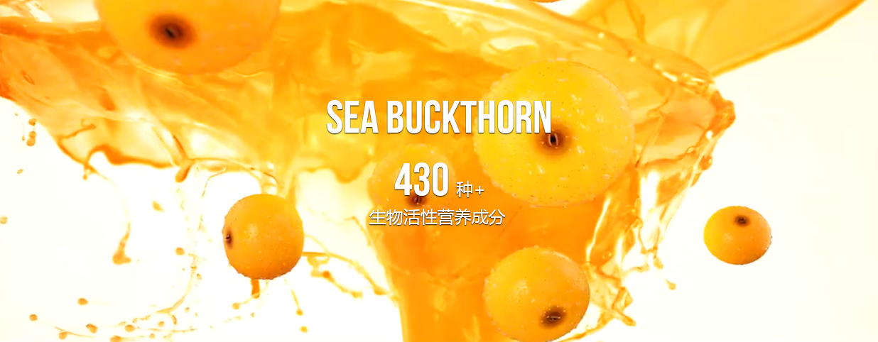 公司簡介